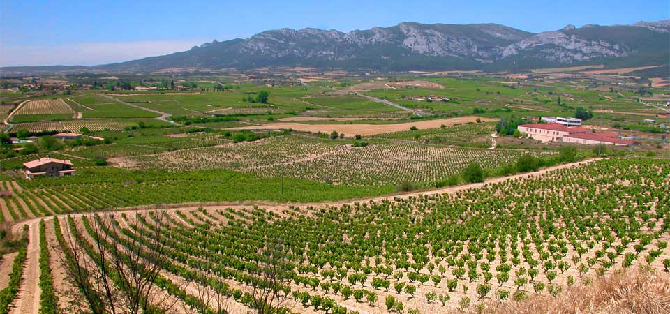 spain_wine_tour_countrybred